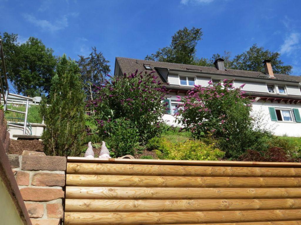 Ferienwohnung Am Kapellenberg - Am Rande Des Nationalparks Schwarzwald Bad Peterstal-Griesbach Eksteriør bilde