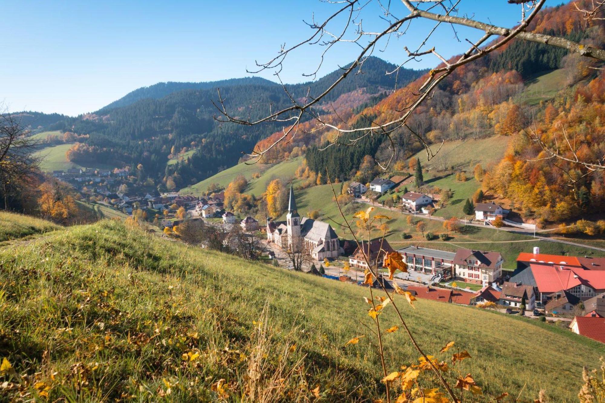 Ferienwohnung Am Kapellenberg - Am Rande Des Nationalparks Schwarzwald Bad Peterstal-Griesbach Eksteriør bilde